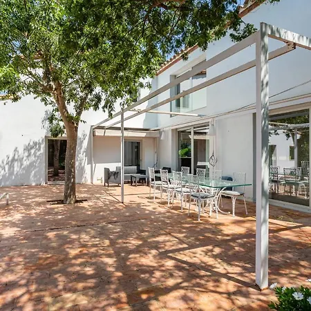 Sagulla * בלאנס